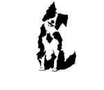 The Tilted Dog